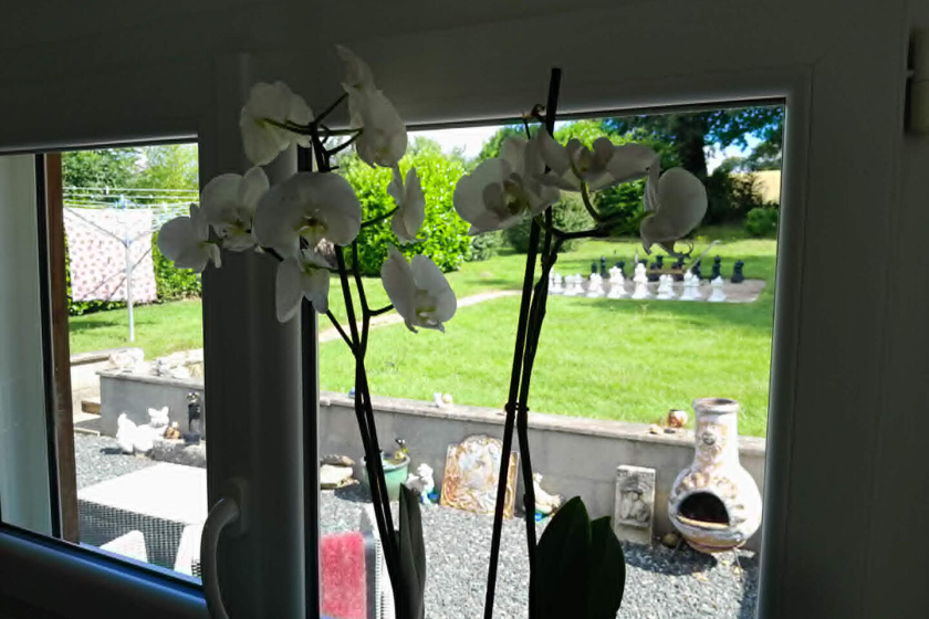 Morbihan, Les Forges de Lanouée - Jolie maison individuelle de 3 chambres avec un magnifique jardinaison - Photo 11