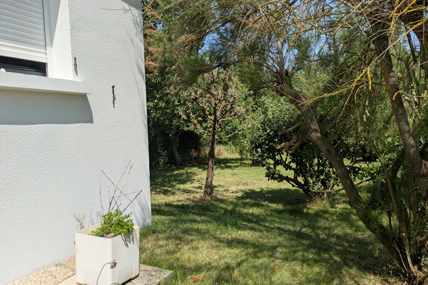  - Photo 15