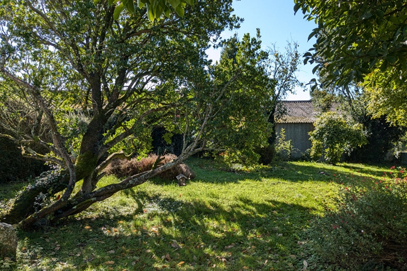  - Photo 3