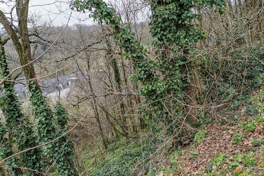 Bois sur coteau avec vue dégagée. - Photo 2