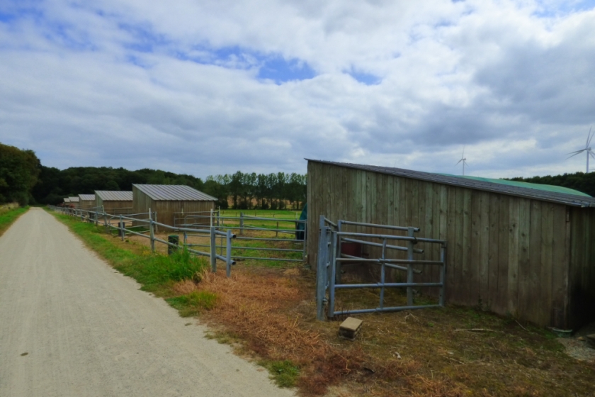 Propriété équestre sur plus de 8 hectares au coeur de la Bretagne - Photo 16