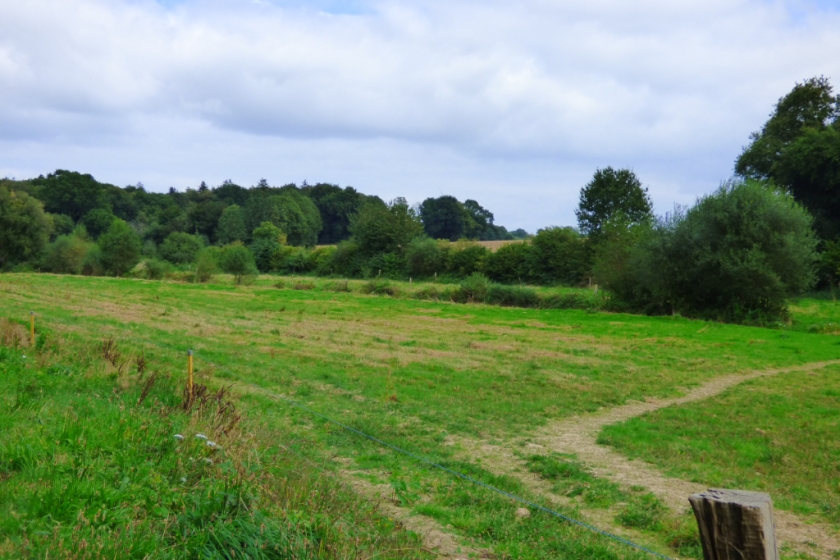 Propriété équestre sur plus de 8 hectares au coeur de la Bretagne - Photo 17