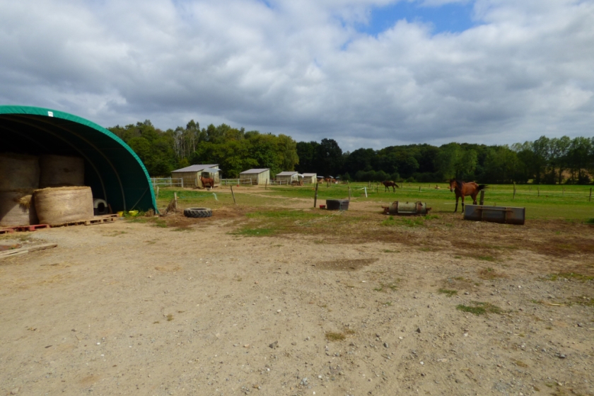 Propriété équestre sur plus de 8 hectares au coeur de la Bretagne - Photo 8