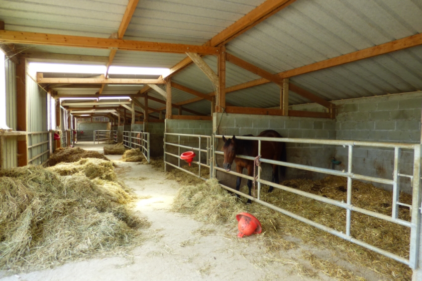 Propriété équestre sur plus de 8 hectares au coeur de la Bretagne - Photo 10