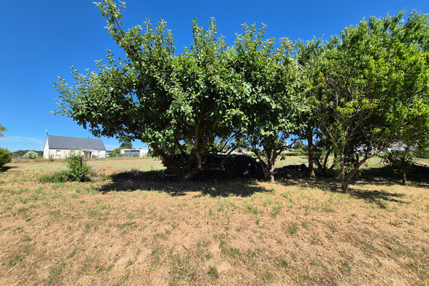 Terrain Mohon 2920 m2 - Photo 7