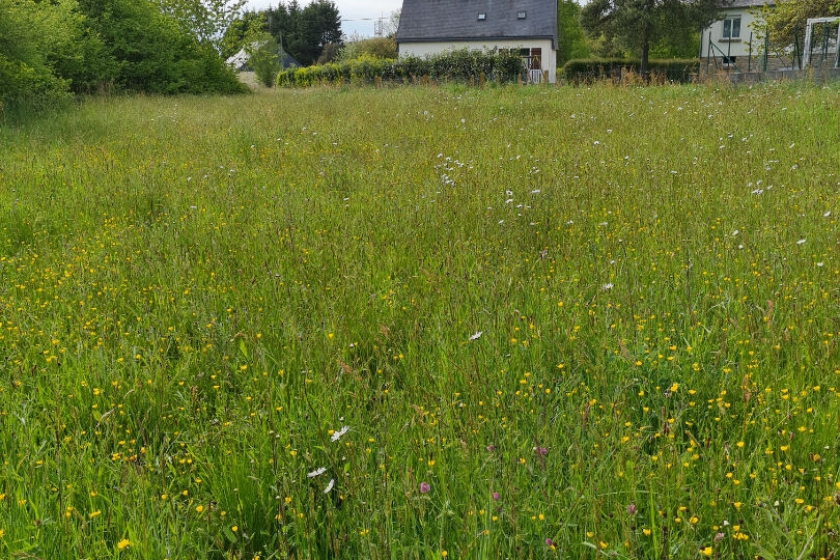 Terrain Monteneuf 1980 m2 - Photo 8