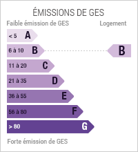 Emissions de gaz à effet de serre